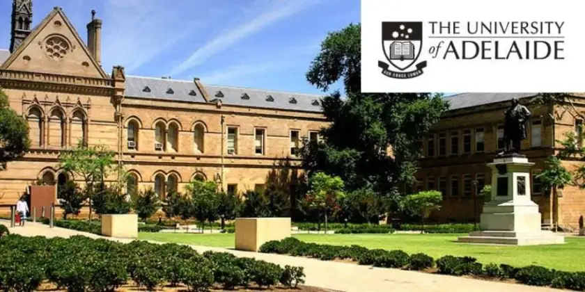 法学院代表建筑