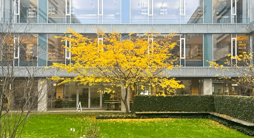 法学院代表建筑