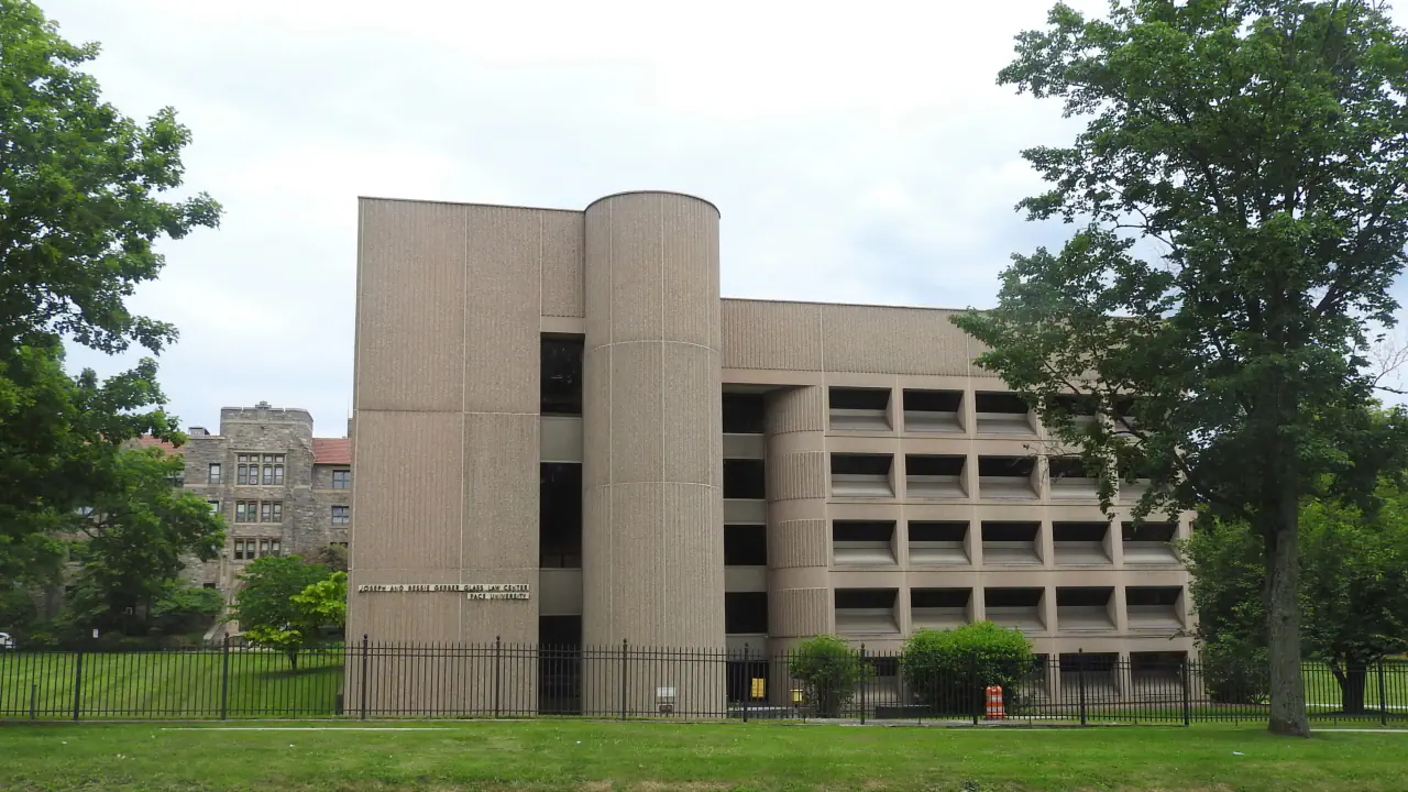 Pace University